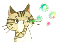 Kijitora cat Kotestu sticker #12826643