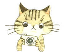 Kijitora cat Kotestu sticker #12826644