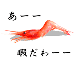 A deep-water shrimp sticker #12829328