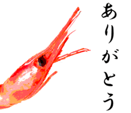 A deep-water shrimp sticker #12829331