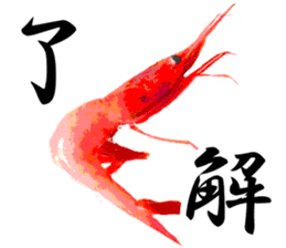 A deep-water shrimp sticker #12829332