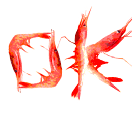 A deep-water shrimp sticker #12829334