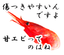 A deep-water shrimp sticker #12829337