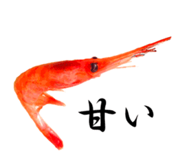 A deep-water shrimp sticker #12829339