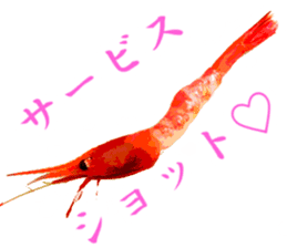 A deep-water shrimp sticker #12829346