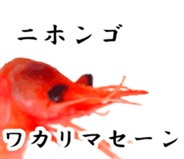 A deep-water shrimp sticker #12829347