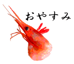 A deep-water shrimp sticker #12829352