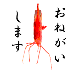 A deep-water shrimp sticker #12829353