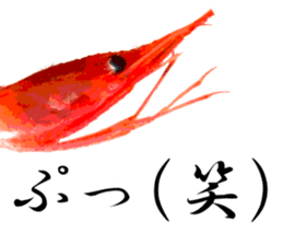 A deep-water shrimp sticker #12829357