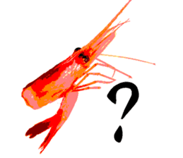 A deep-water shrimp sticker #12829364