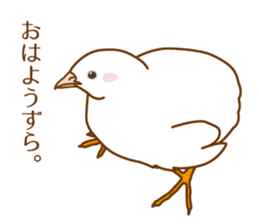 Daily King quail ! sticker #12831846