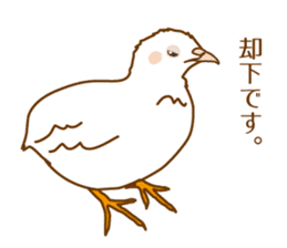 Daily King quail ! sticker #12831849