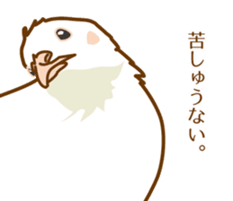 Daily King quail ! sticker #12831850