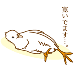 Daily King quail ! sticker #12831851