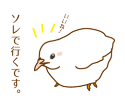 Daily King quail ! sticker #12831852