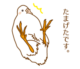 Daily King quail ! sticker #12831853