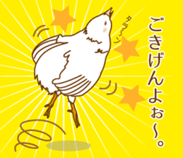 Daily King quail ! sticker #12831856