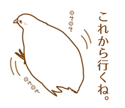 Daily King quail ! sticker #12831857