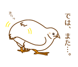 Daily King quail ! sticker #12831859