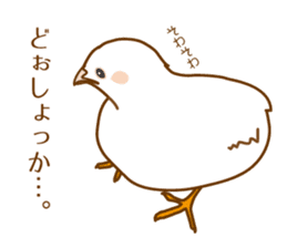 Daily King quail ! sticker #12831860