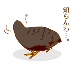 Daily King quail ! sticker #12831864