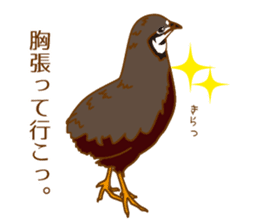 Daily King quail ! sticker #12831869