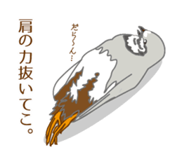 Daily King quail ! sticker #12831870