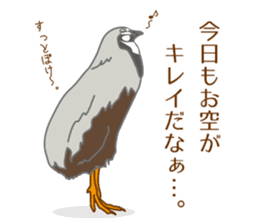 Daily King quail ! sticker #12831872