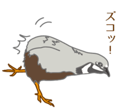 Daily King quail ! sticker #12831873