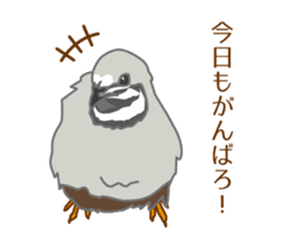Daily King quail ! sticker #12831874