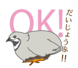 Daily King quail ! sticker #12831876