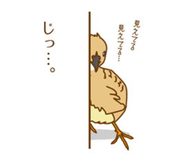 Daily King quail ! sticker #12831880