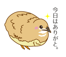Daily King quail ! sticker #12831884