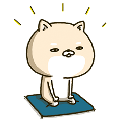 Shiba dog the second