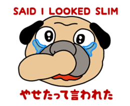 Diet Duke sticker #12837773