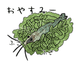 Japanese Swamp Shrimp sticker #12839727