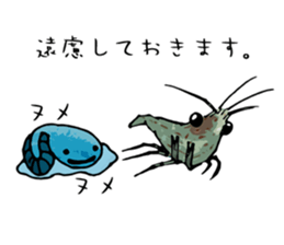 Japanese Swamp Shrimp sticker #12839728