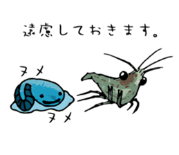 Japanese Swamp Shrimp sticker #12839728