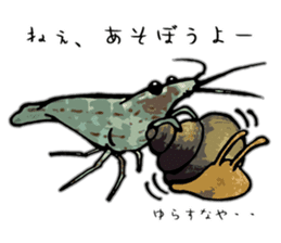 Japanese Swamp Shrimp sticker #12839729