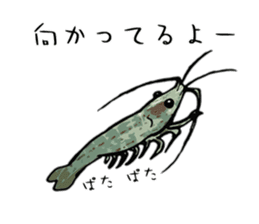 Japanese Swamp Shrimp sticker #12839731