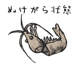 Japanese Swamp Shrimp sticker #12839733