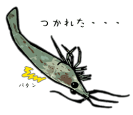 Japanese Swamp Shrimp sticker #12839735