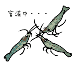 Japanese Swamp Shrimp sticker #12839736