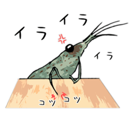 Japanese Swamp Shrimp sticker #12839738