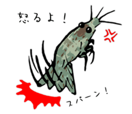 Japanese Swamp Shrimp sticker #12839739