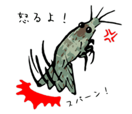 Japanese Swamp Shrimp sticker #12839739