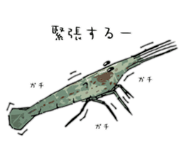 Japanese Swamp Shrimp sticker #12839740