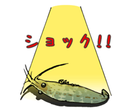 Japanese Swamp Shrimp sticker #12839741