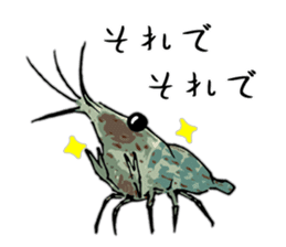 Japanese Swamp Shrimp sticker #12839742