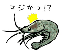 Japanese Swamp Shrimp sticker #12839744
